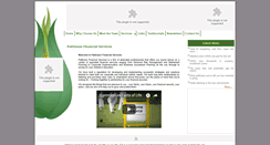 Desktop Screenshot of pattinsonfs.com.au